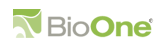 BioOne – электронная коллекция журналов